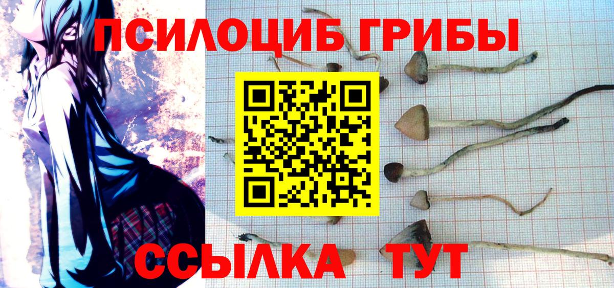 Рославль  Псилоцибиновые грибы Cubensis  Вход с VPN  Галлюциногенные грибы Cubensis 